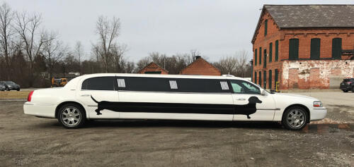 Custom spot graphic on limousine