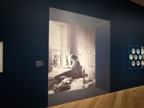 Exhibit wall with mural and label