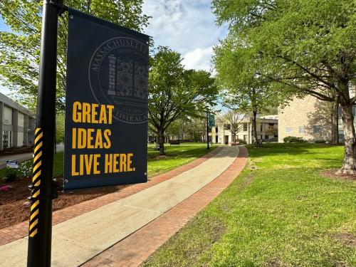 Double-sided pole banners mounted to lamp post for school pride.