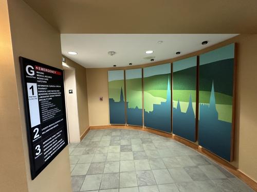 Vinyl mural on raised panels featuring a simplified landscape for a hospital hallway.