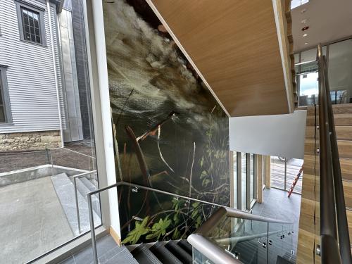 A stylized nature graphic on the underside of a stairwell.