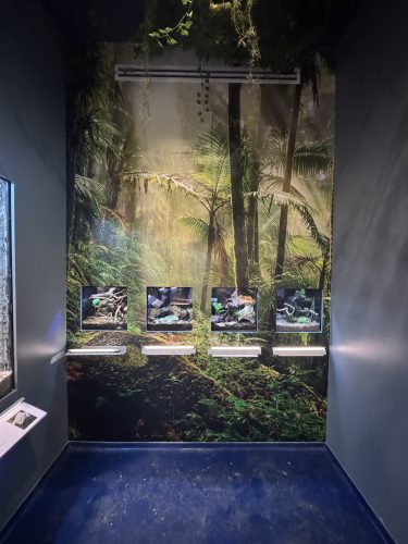 Wall nook mural for aquarium display